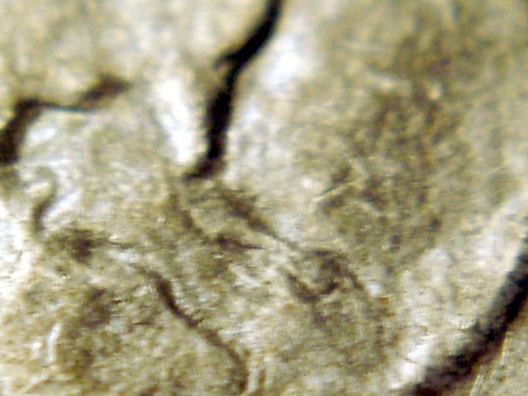 1972-P-Eisenhower-Dollar--Is-This-The-Scarcer-Variety-II-?